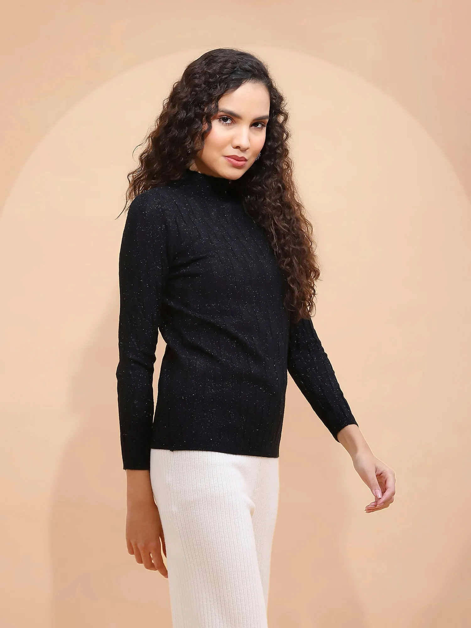 Black Solid Poly Viscose Slim Fit High Neck Skivvy Pullover