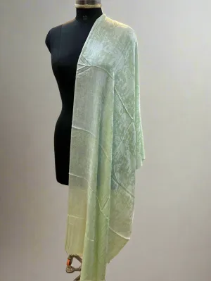 Pista Green Self-Weave Luxurious Pure Pashmina Scarf – Lightweight, Soft, and Smooth